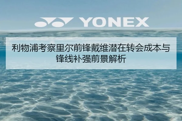 利物浦考察里尔前锋戴维潜在转会成本与锋线补强前景解析
